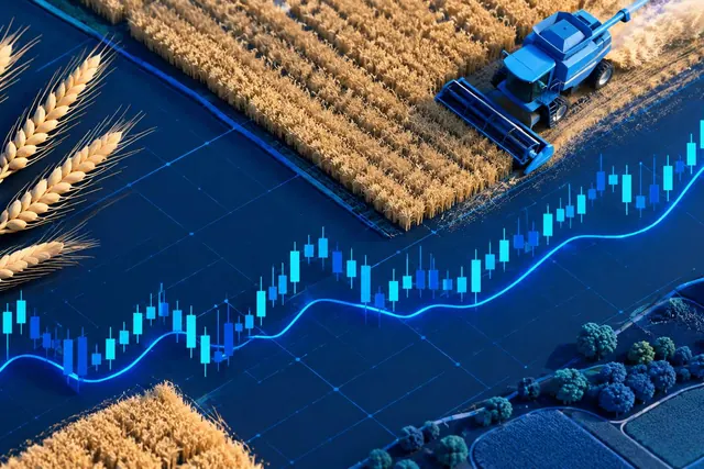 Ladang tanaman serealia menguning dari atas dengan garis grafik harga komoditas